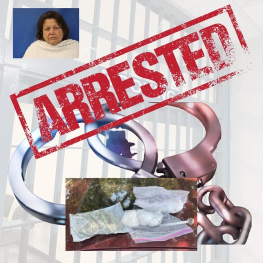 Traffic Stop in Scurry Leads to Major Drug Arrest of Bridgette Lynn Glover