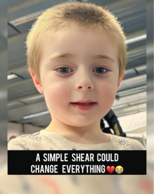 Missing Child Alert: 4-Year-Old Ransom Ruffcorn Last Seen in Laveen, Arizona